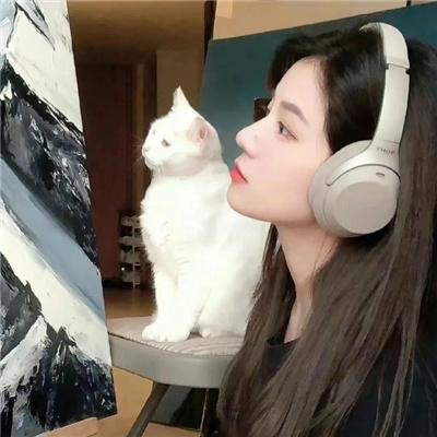 青之壬生狼